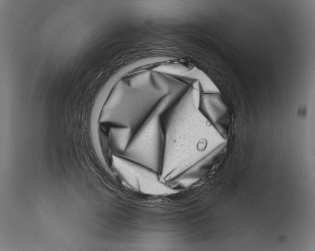 X0000113200752200910081251