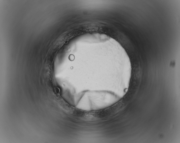 X0000113200753200910081251