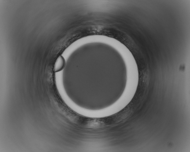 X0000113200754200910081251