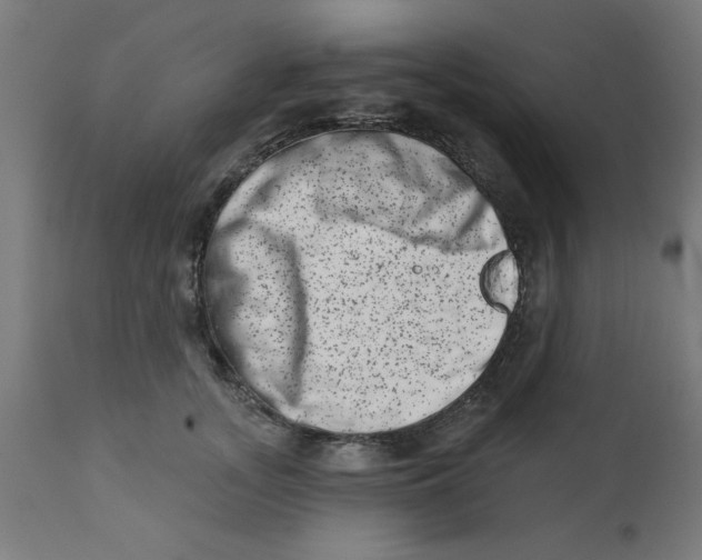 X0000113200755200910081251