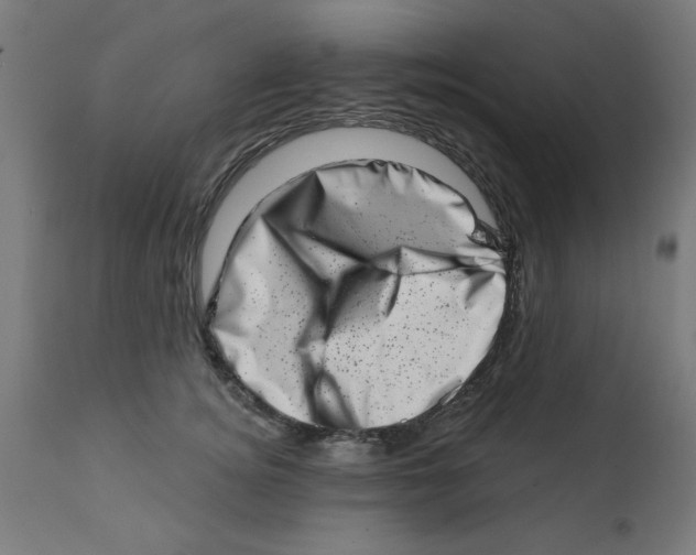 X0000113200756200910081251