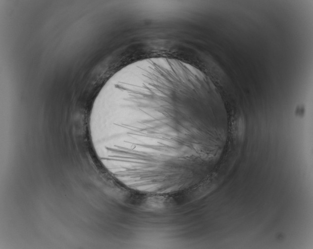 X0000113200757200910081251