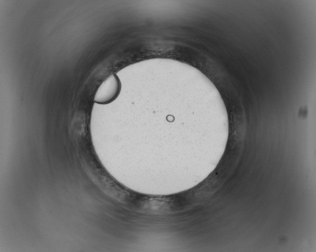 X0000113200758200910081251