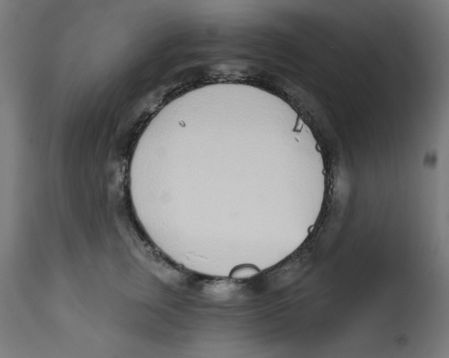 X0000113200759200910081251