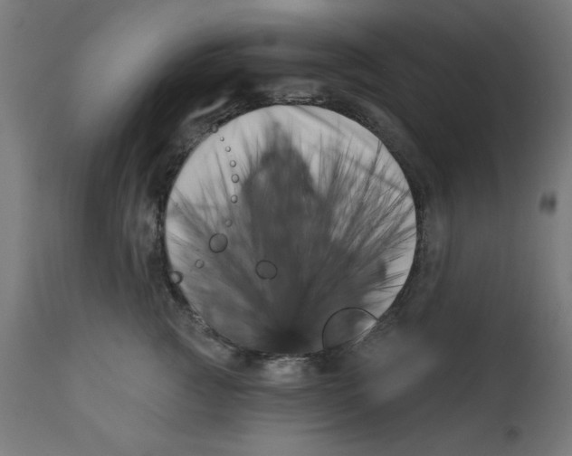 X0000113200761200910081251