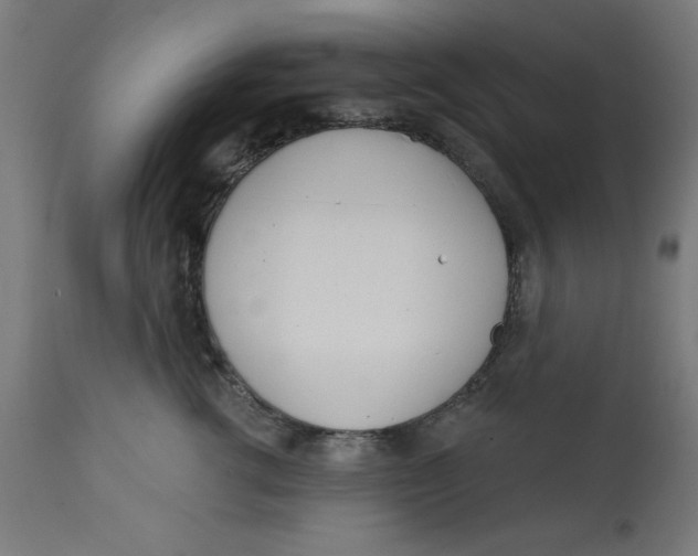 X0000113200762200910081251