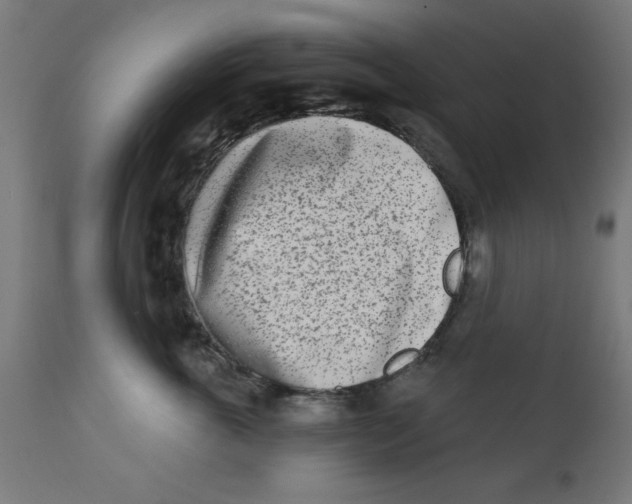 X0000113200763200910081251