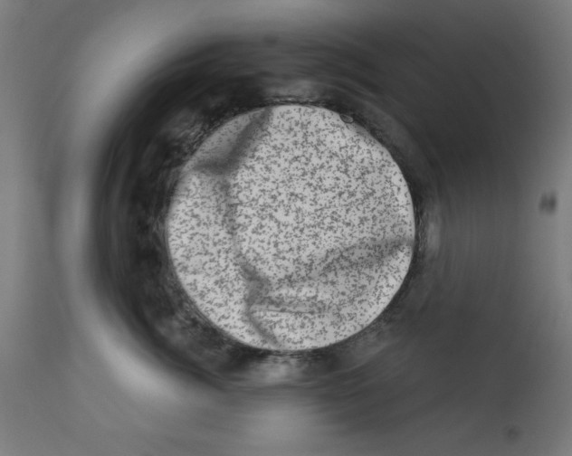 X0000113200764200910081251