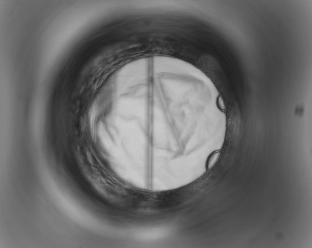 X0000113200765200910081251