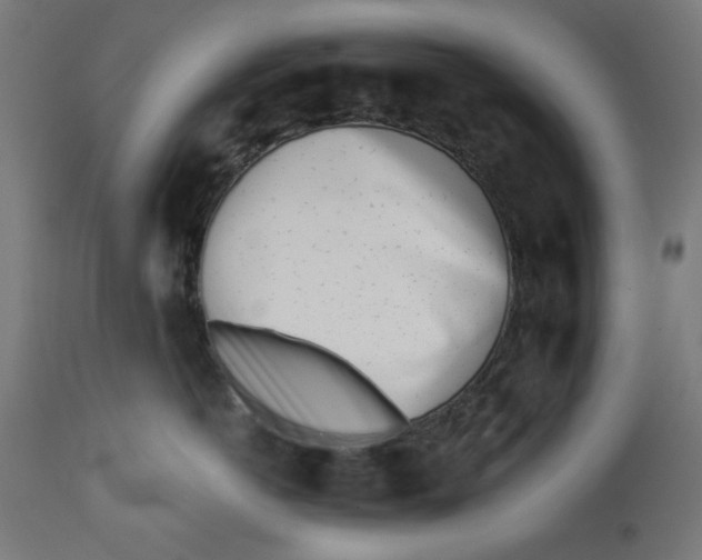 X0000113200766200910081251