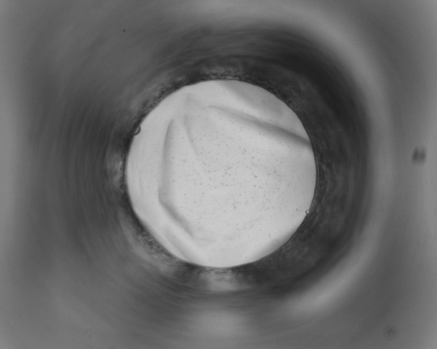 X0000113200767200910081251