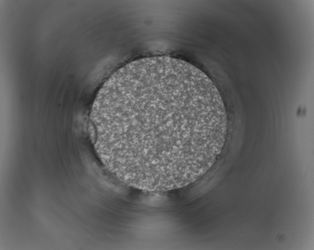 X0000113200768200910081251