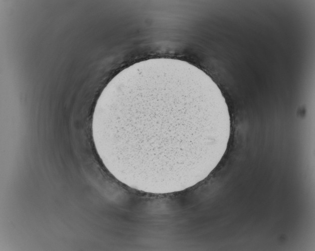 X0000113200769200910081251