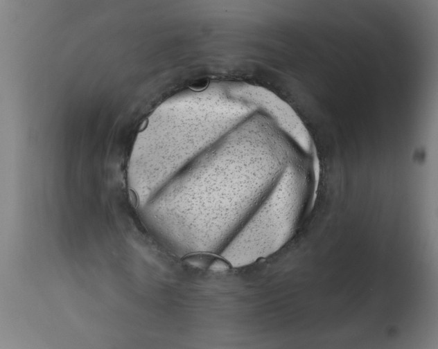 X0000113200770200910081251