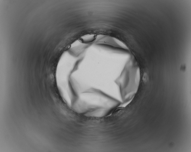 X0000113200771200910081251