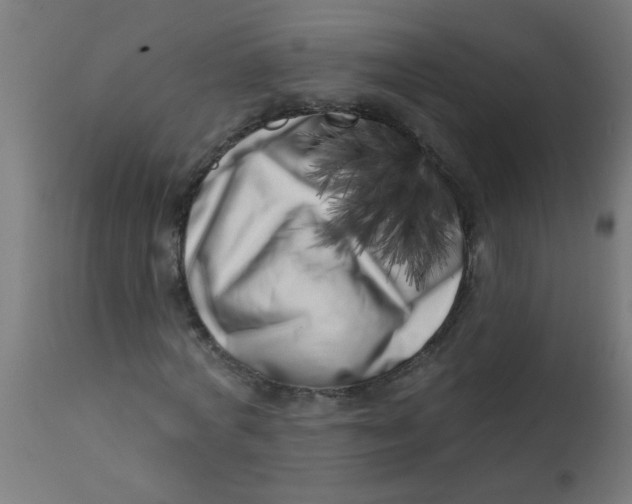X0000113200772200910081251