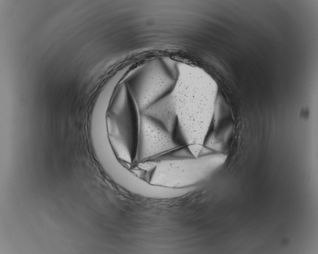 X0000113200773200910081251