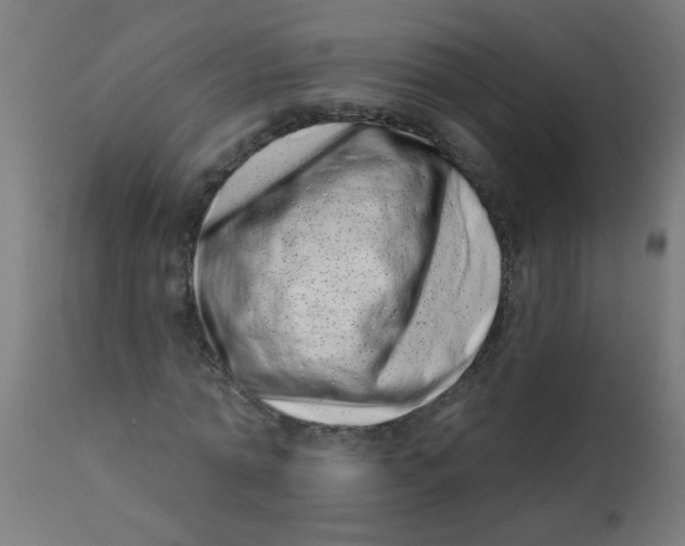 X0000113200774200910081251