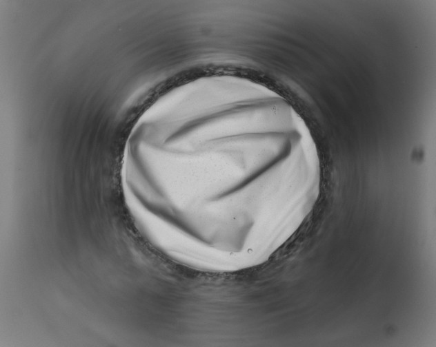 X0000113200775200910081251