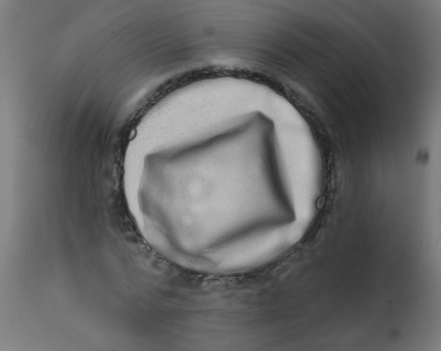 X0000113200776200910081251