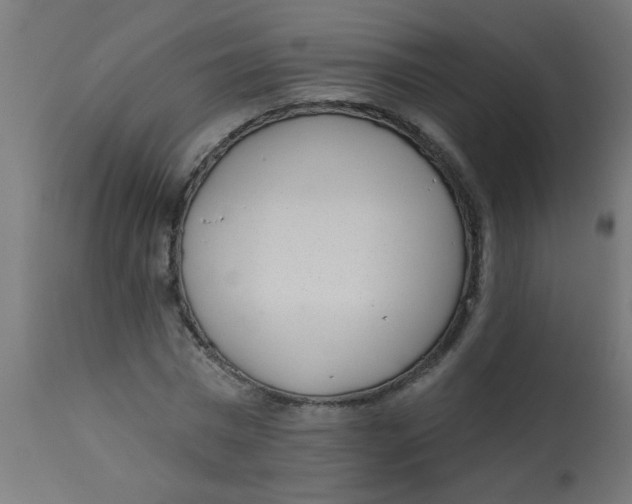 X0000113200777200910081251