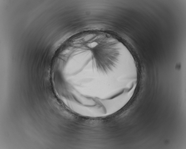 X0000113200778200910081251