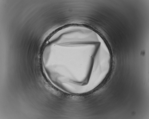 X0000113200779200910081251