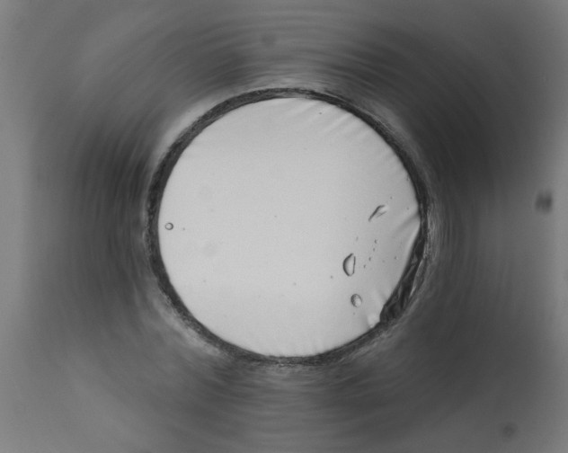 X0000113200780200910081251