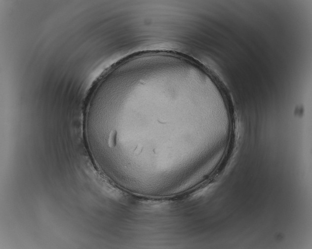 X0000113200781200910081251