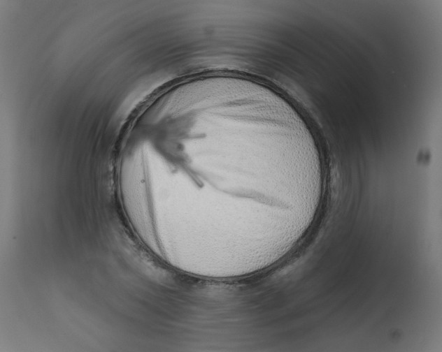 X0000113200782200910081251