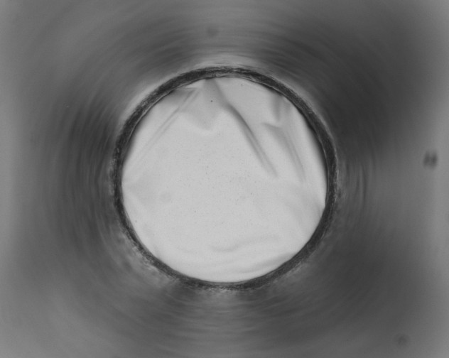 X0000113200783200910081251