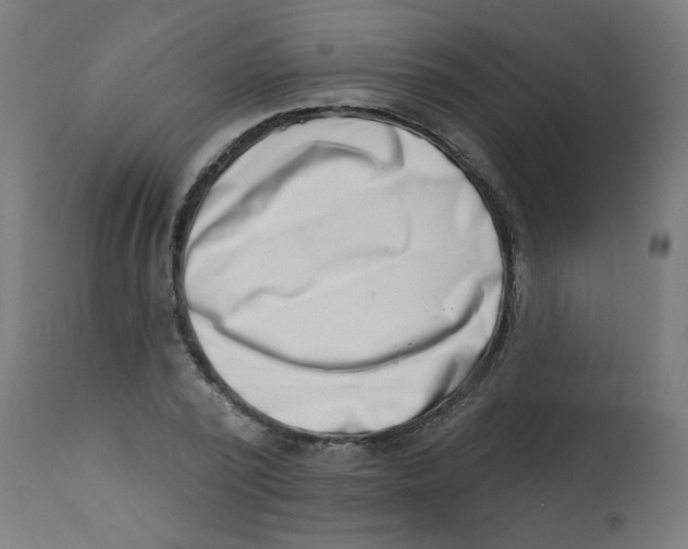 X0000113200784200910081251
