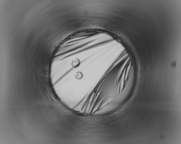 X0000113200785200910081251