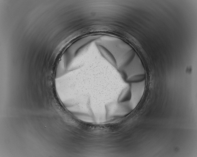 X0000113200786200910081251