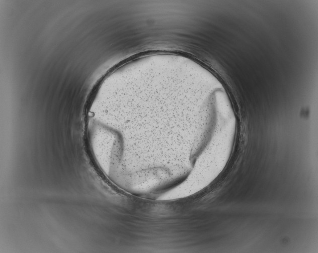 X0000113200787200910081251