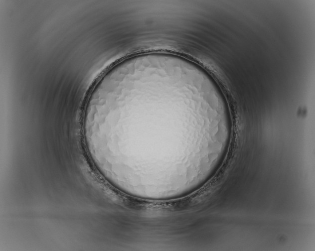 X0000113200790200910081251