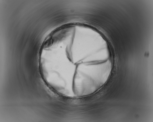 X0000113200791200910081251