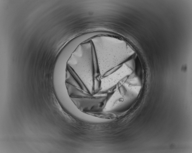 X0000113200793200910081250
