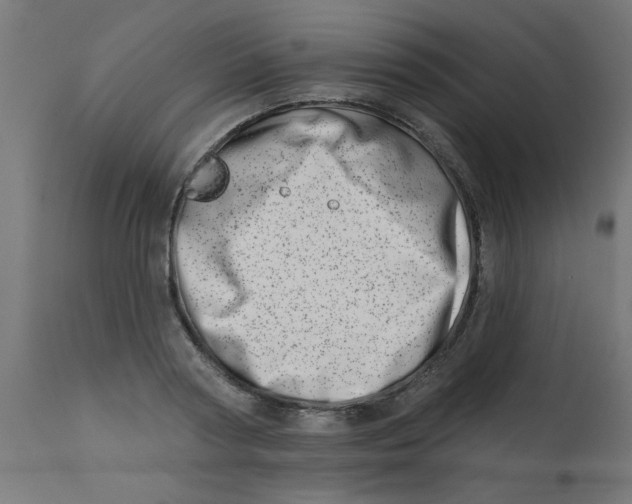 X0000113200794200910081250
