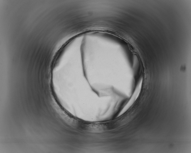 X0000113200795200910081250