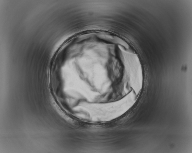 X0000113200796200910081250