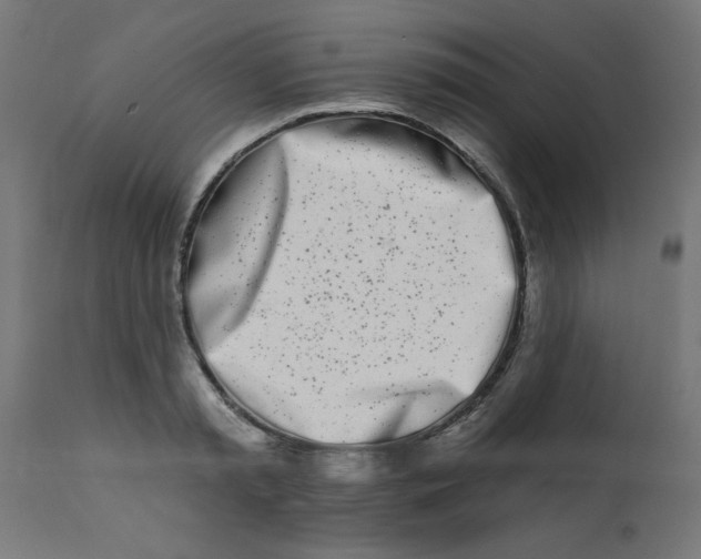 X0000113200797200910081250