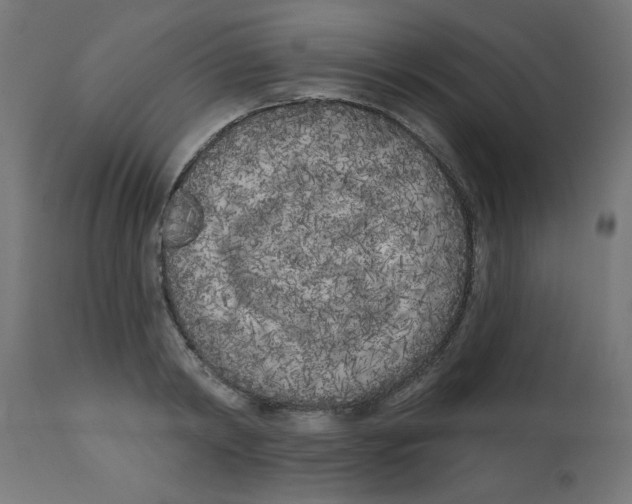 X0000113200798200910081250