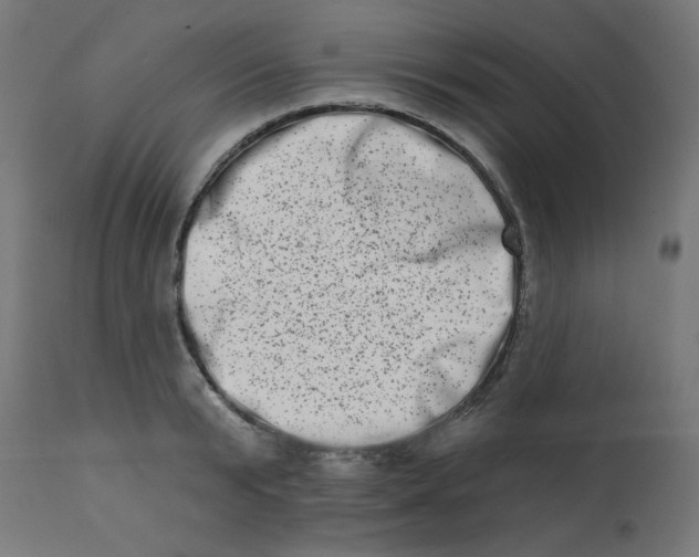 X0000113200799200910081250