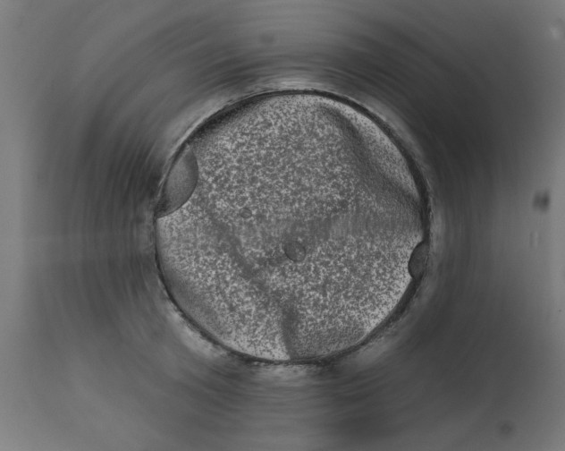 X0000113200801200910081250