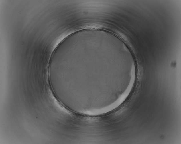X0000113200802200910081250