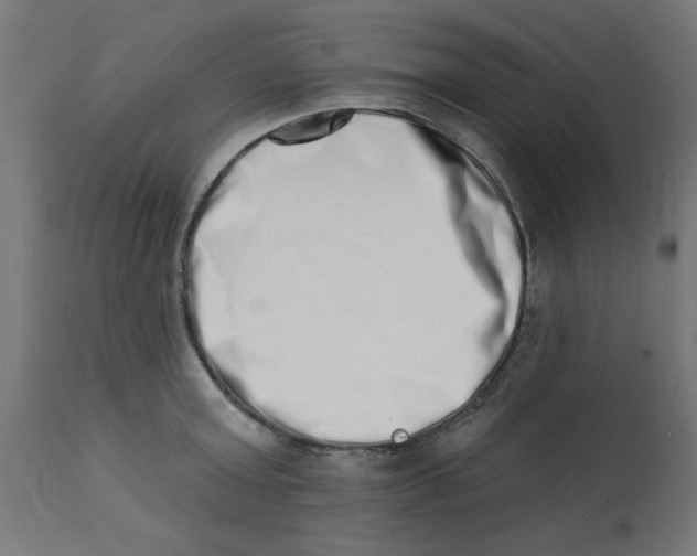 X0000113200803200910081250
