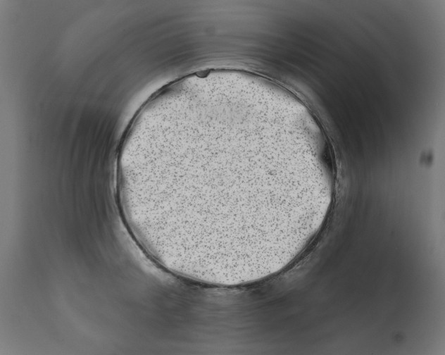 X0000113200804200910081250