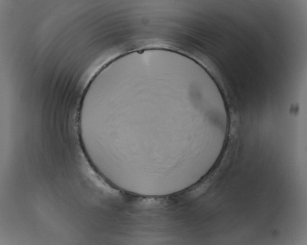 X0000113200806200910081250