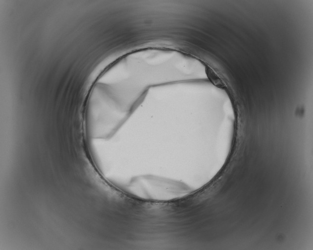 X0000113200808200910081250